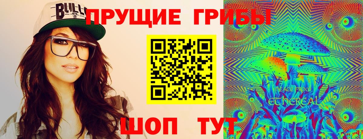 Псилоцибиновые грибы мицелий  Вход с VPN  Прохладный  Галлюциногенные грибы прущие грибы 